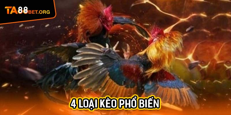 Đá Gà C1 - Thưởng Thức Hàng Loạt Cuộc Chiến Nảy Lửa 2 4 loại kèo phổ biến trong chọi gà C1