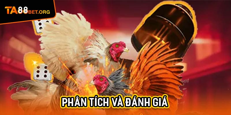 Đá Gà C3 Dậy Sóng - 3 Cuộc Chiến Ở TA88 Không Khoan Nhượng 4 Phân tích và đánh giá một trận đá gà C3 một cách chuyên nghiệp
